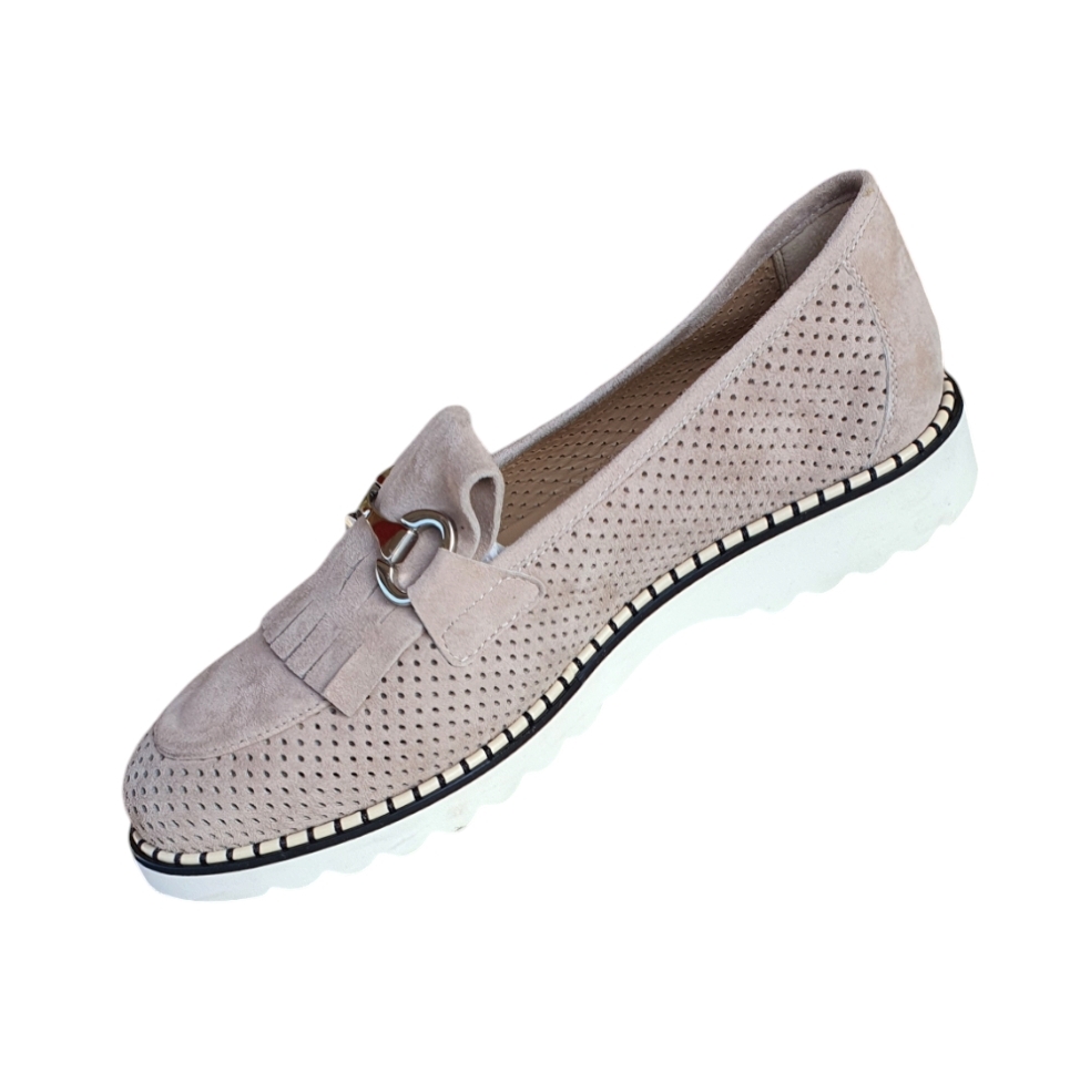 1467 Cam. rex koncglia